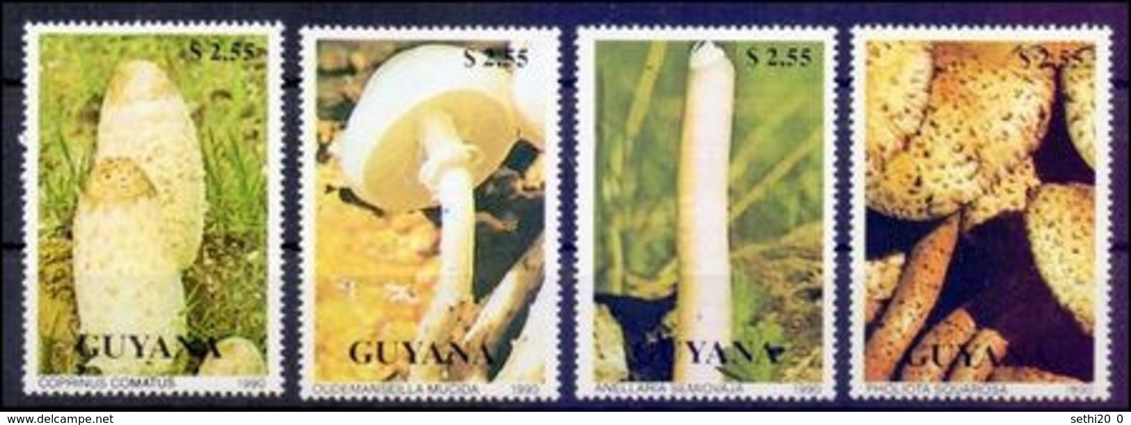 Guyane 1990  Mushrooms Champignons MNH - Champignons