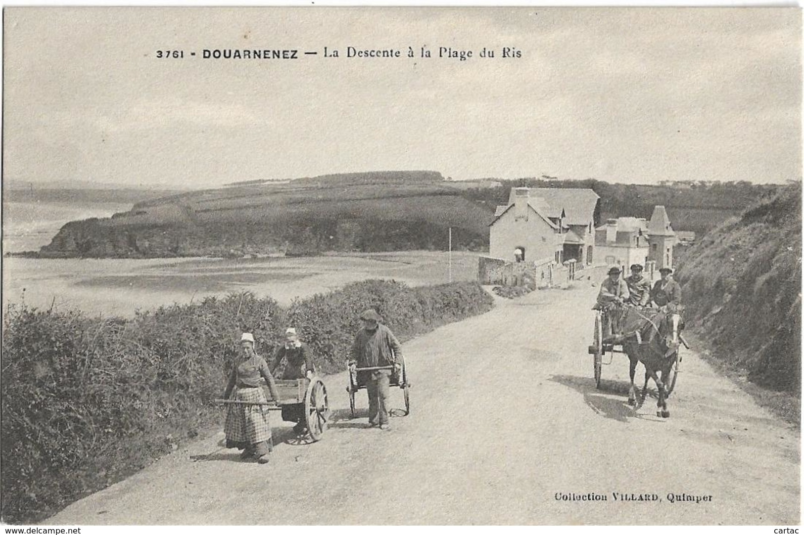 D29 - DOUARNENEZ - LA DESCENTE A LA PLAGE DU RIS -  Plusieurs Personnes - Charrette - Brouettes - Douarnenez