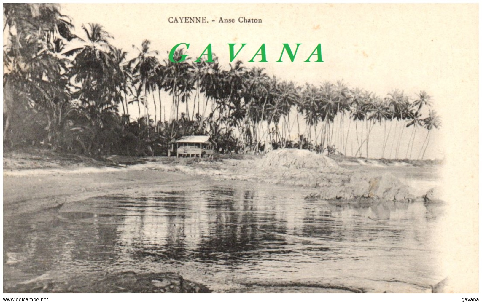 CAYENNE - Anse Chaton - Cayenne