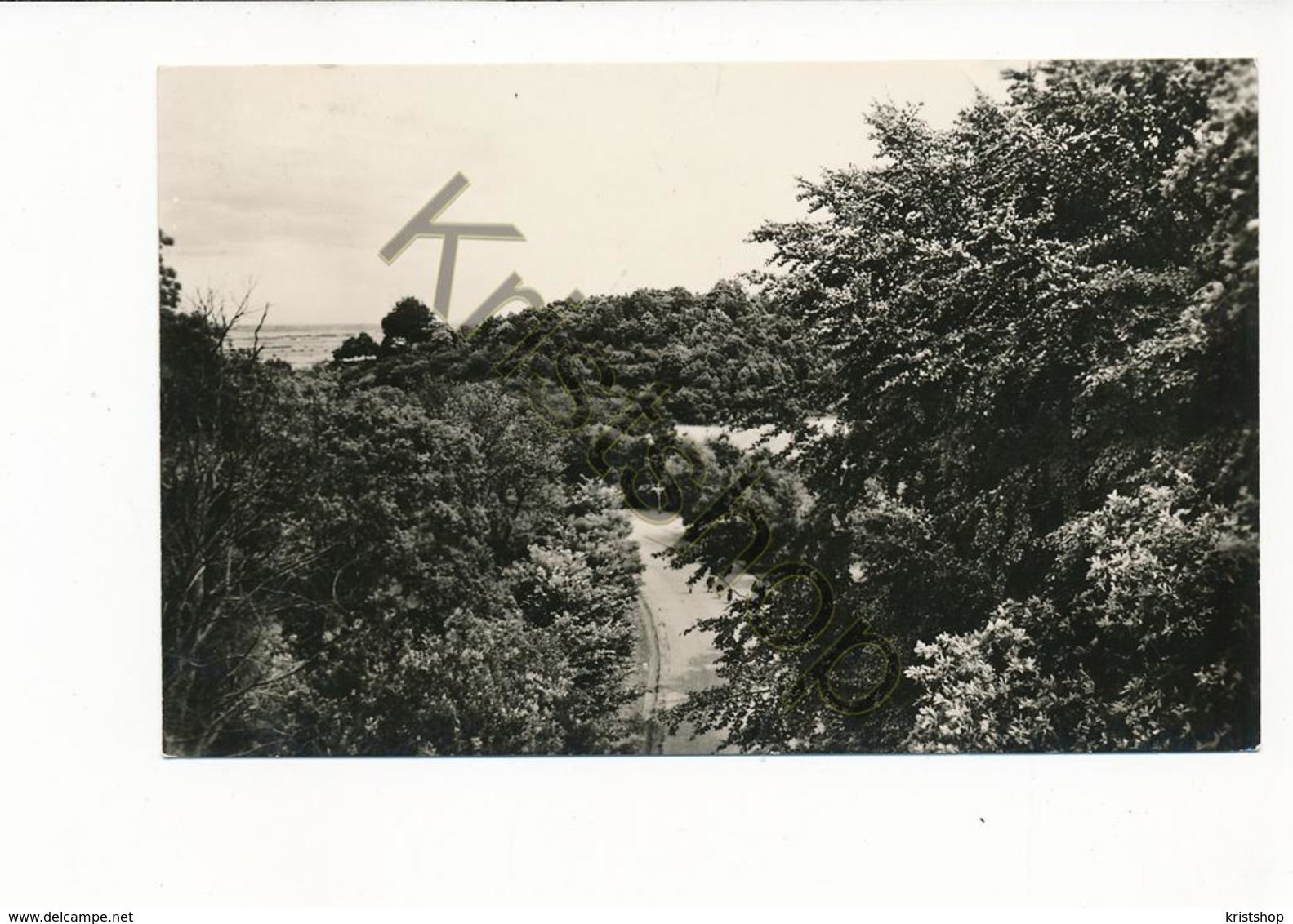 Berg En Dal - Panorama [AA25 1.923 - (gelopen Met Pz) - Sonstige & Ohne Zuordnung