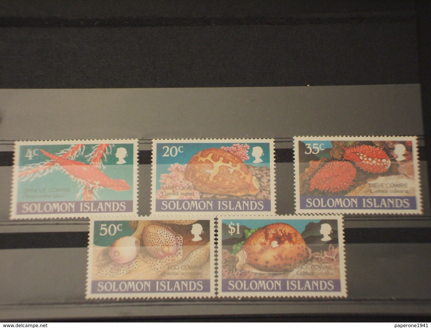 SOLOMON - 1990 FAUNA MARINA 5 VALORI  - NUOVI(++) - Solomon Islands (1978-...)