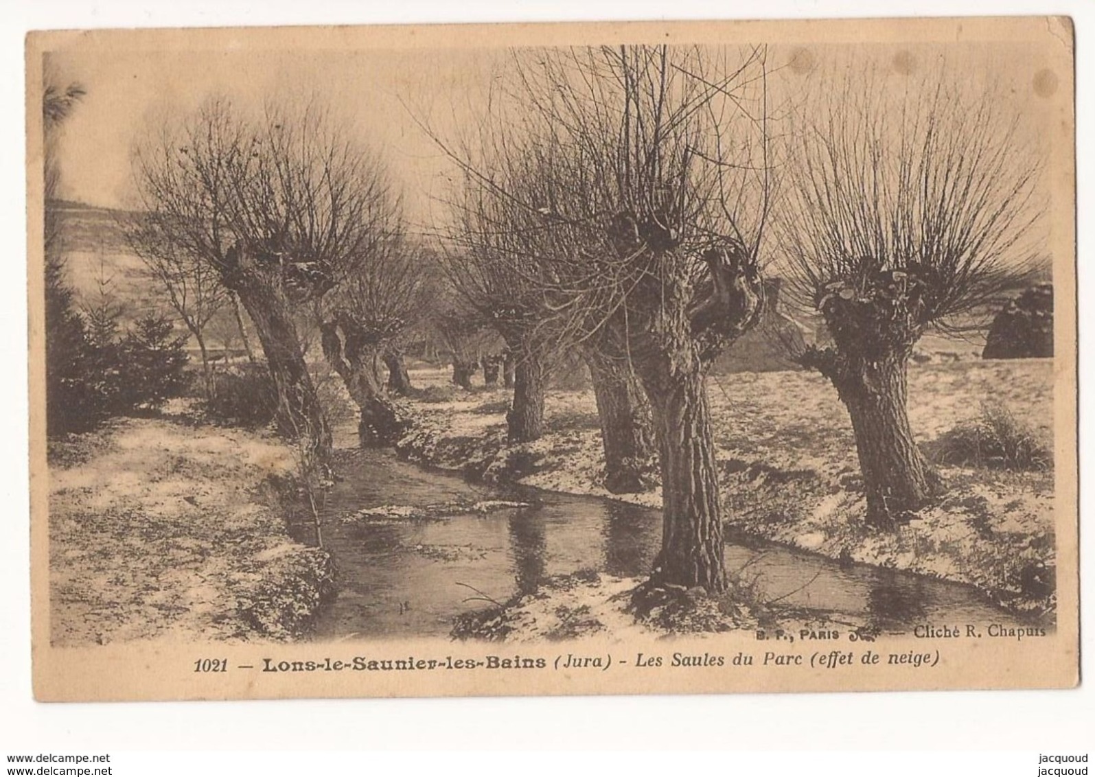 Jura Lons Le Saunier Les Saules Du Parc - Lons Le Saunier