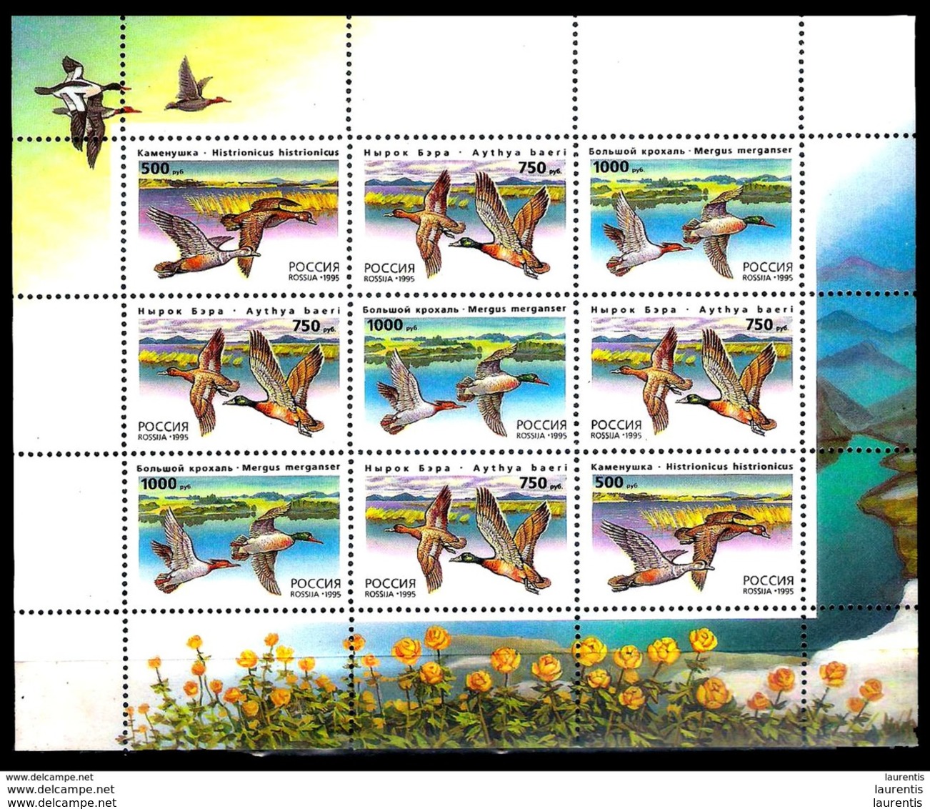 14645 Ducks - Canards - Russie - Minisheet - MNH - Free Shipping - 2,25 - Canards