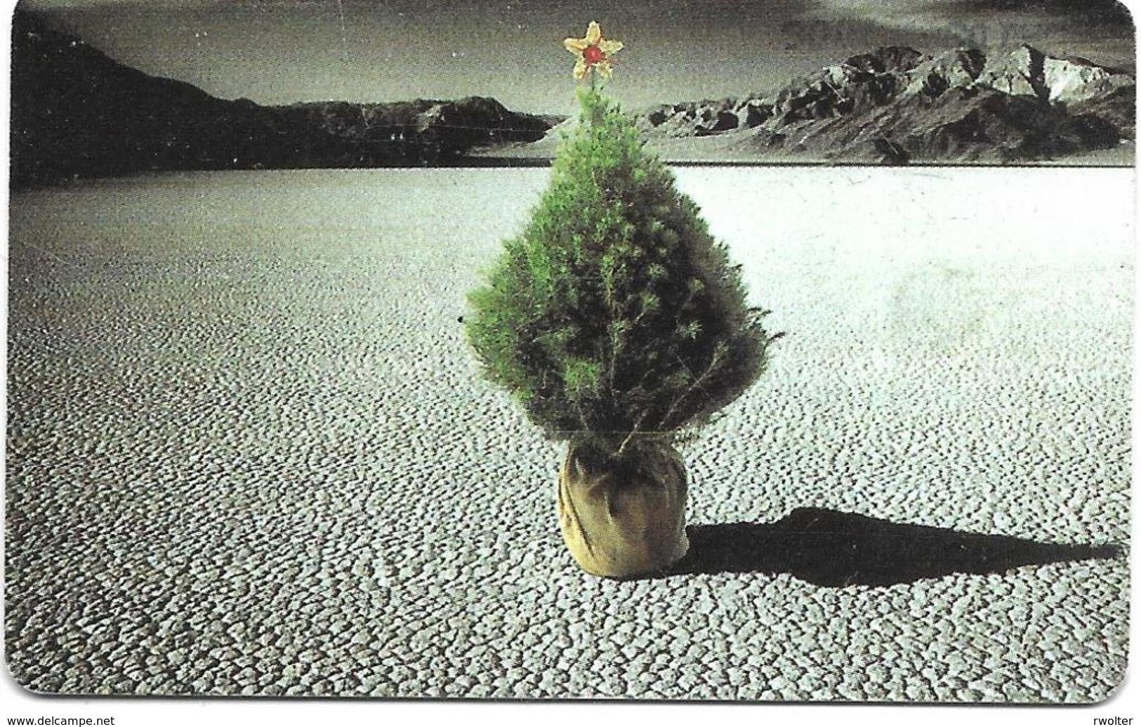 @+ Namibie - N$ 10 - Christmas Tree In Dry River Bed - Ref : NMB-200 - Namibia