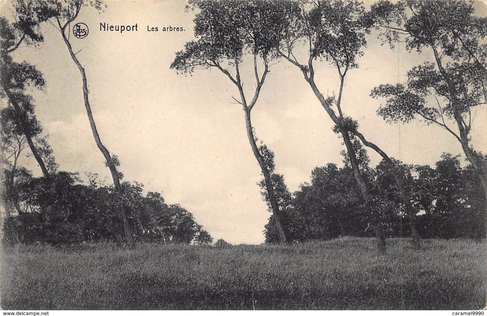 Nieuwpoort De Bomen , Les Arbres     L 1367 - Nieuwpoort