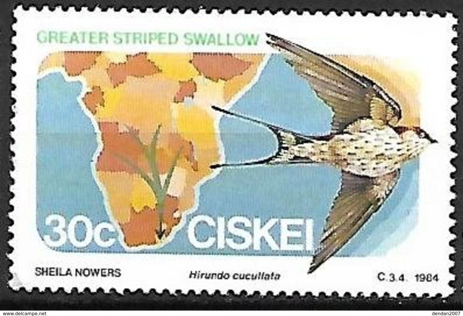 Ciskei (South Africa) - MNH - 1984 -   Greater Striped Swallow    Cecropis Cucullata - Swallows