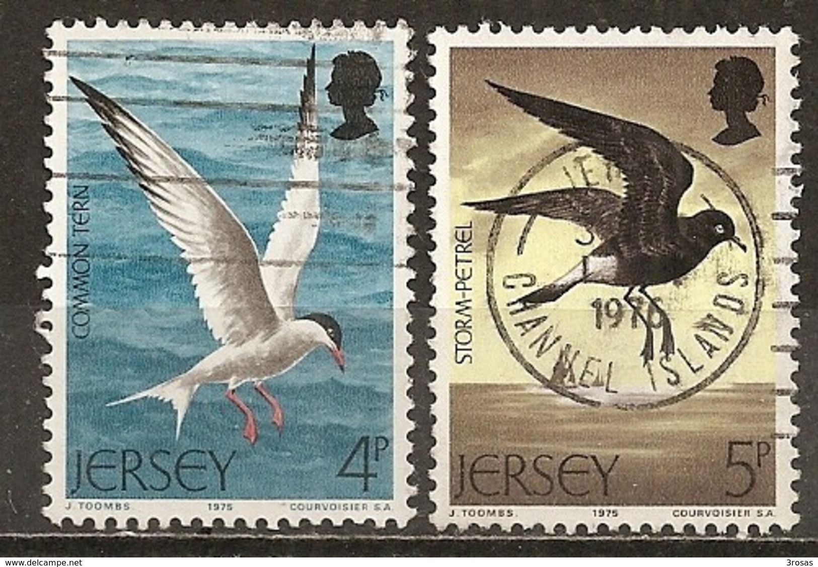 Jersey 1975 Oiseaux Birds Obl - Jersey