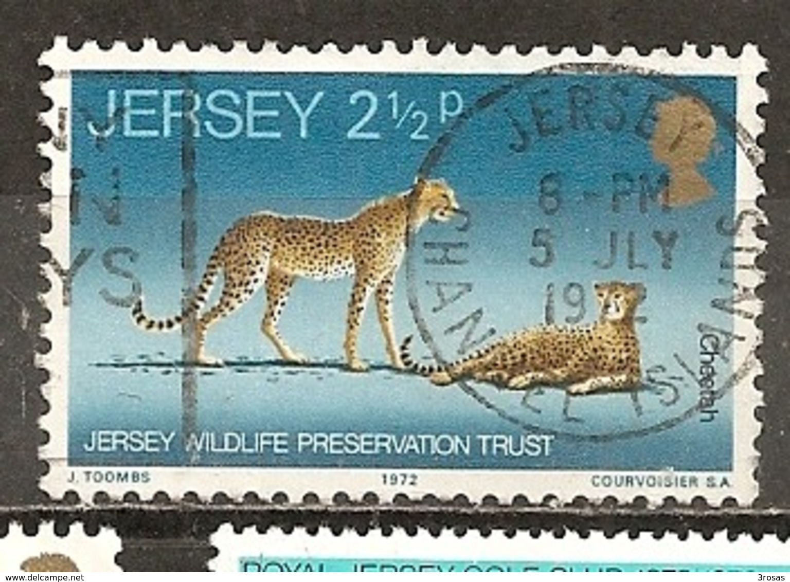 Jersey 1972 Cheetah Obl - Jersey