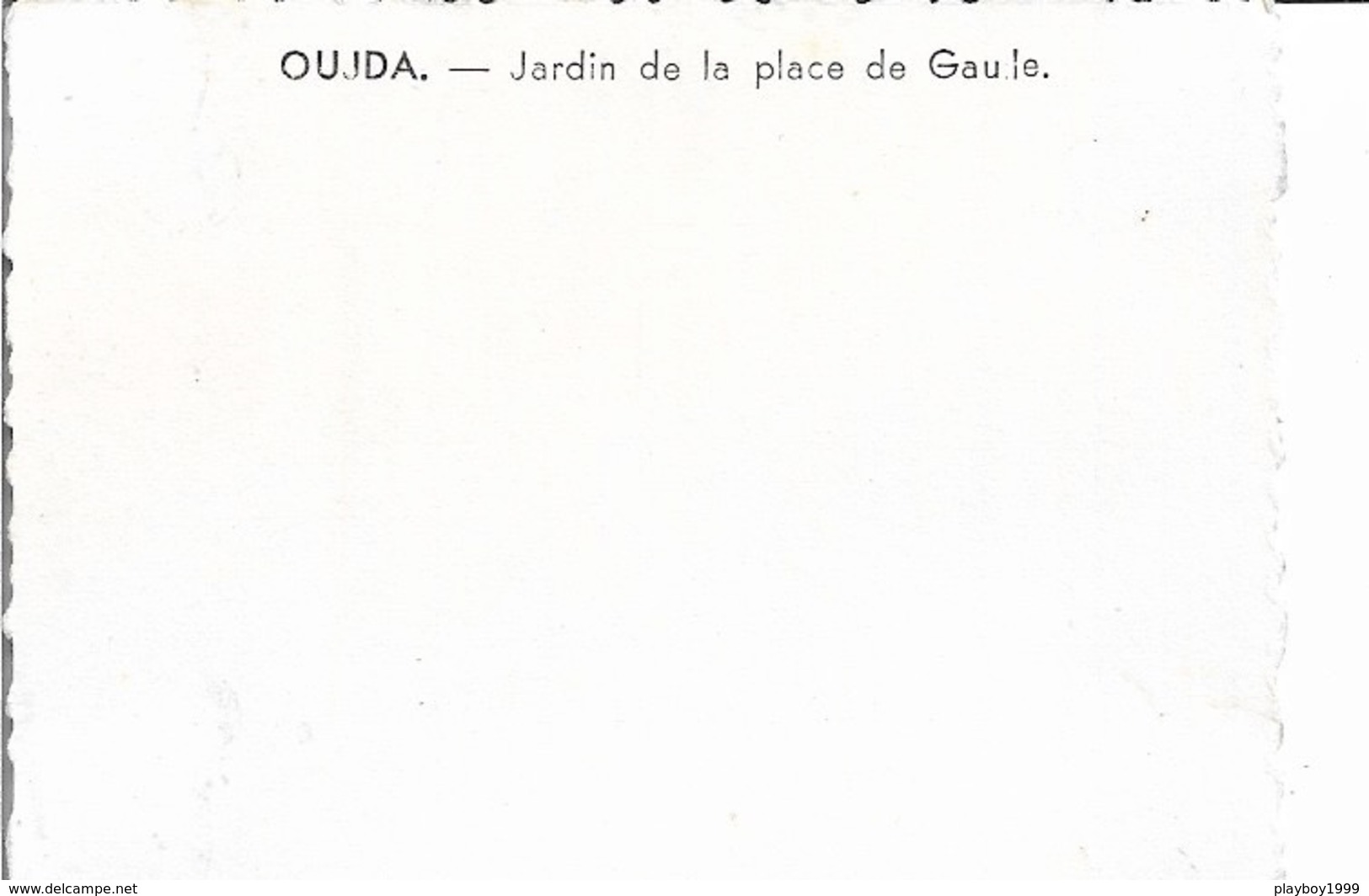 Maroc - OUJDA - Jardin De La Place De Gaule - Carte Photo - Voir Scan - Recto,Verso - Carte Ancienne - Vierge - - Altri & Non Classificati