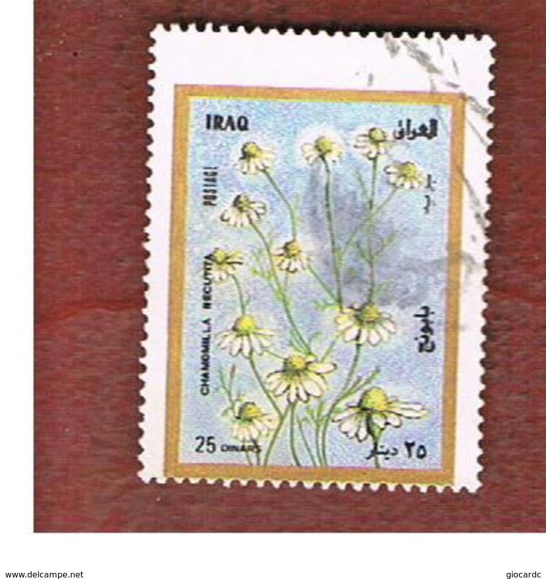 IRAQ    -  MI 1582 - 1998 PLANTS: CHAMOMILE - USED ° - Iraq