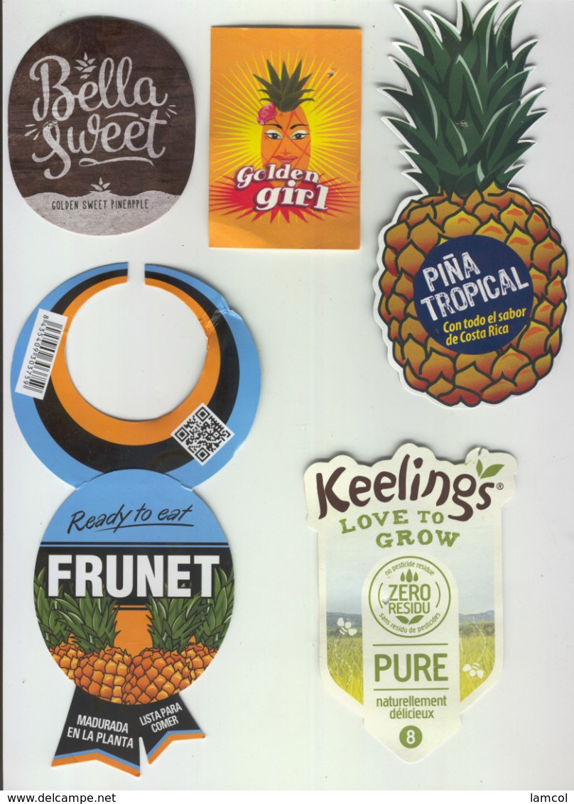 Etiquettes De Fruits : Ananas Lot 29 - Fruit Labels Pineapple Lot # 29 - Fruit En Groenten