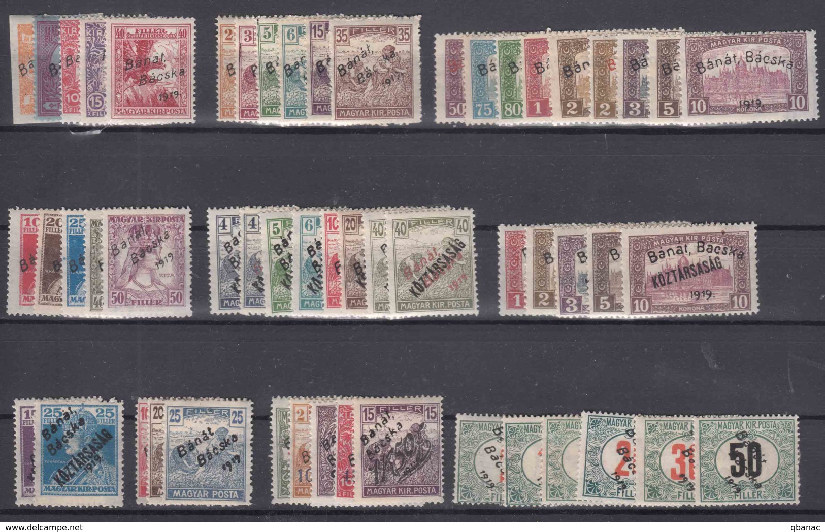 Hungary Banat Bacska Complete Colection Including Porto Stamps, All B Types (red Overprint) Included, Mint Hinged - Banat-Bacska