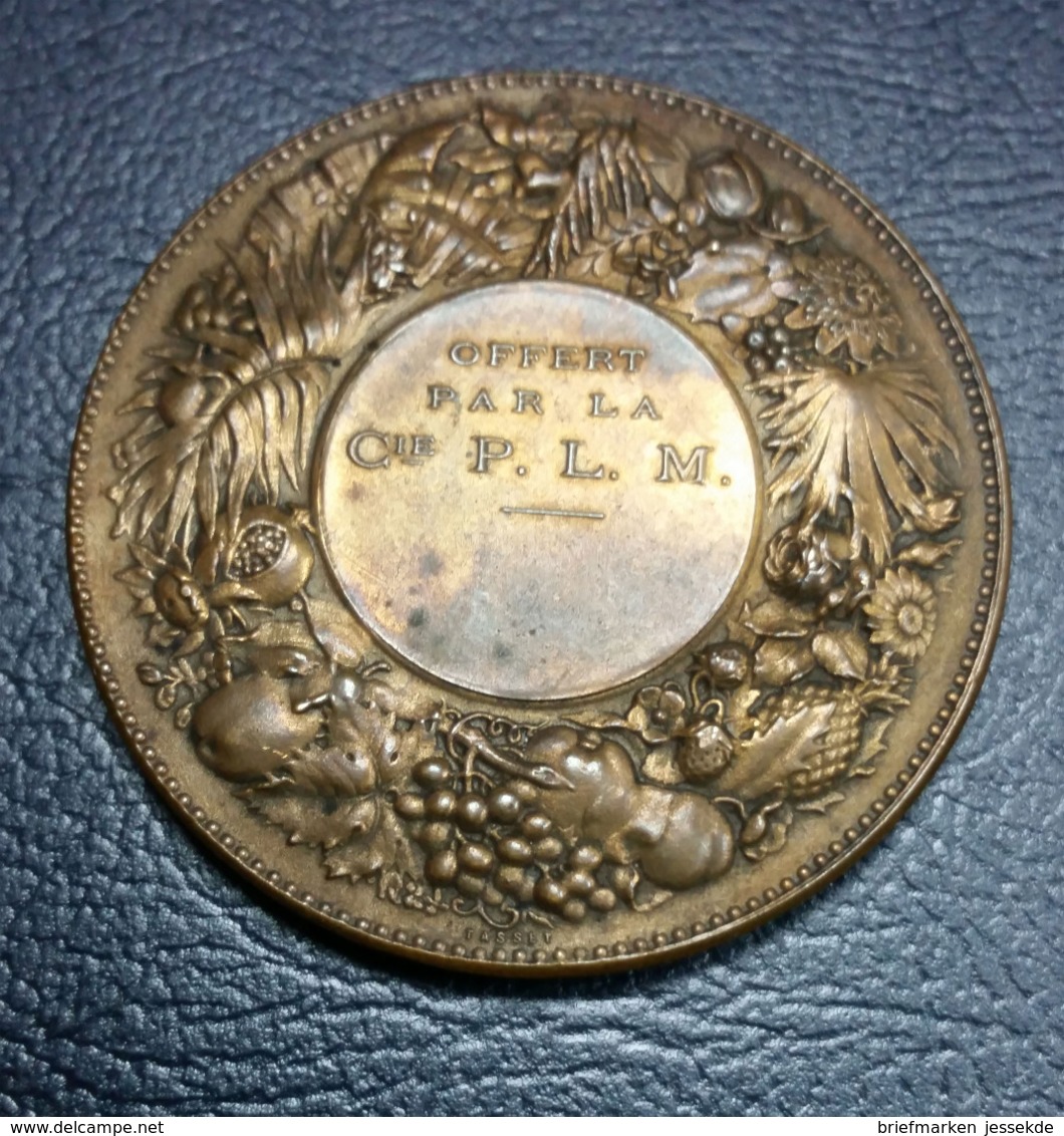 Medaille Frankreich Bronze Offert Par La Cie P.L.M. Alphee Dubois Tasset - Sonstige & Ohne Zuordnung