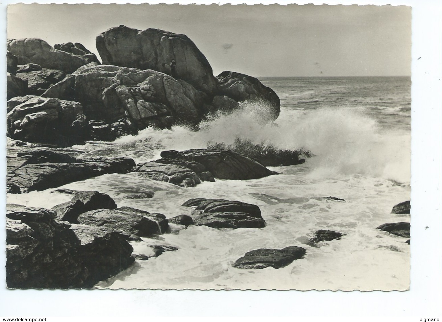 Environs De Ploumanach Plages De Bretagne Photo D. Faugouin - Other & Unclassified