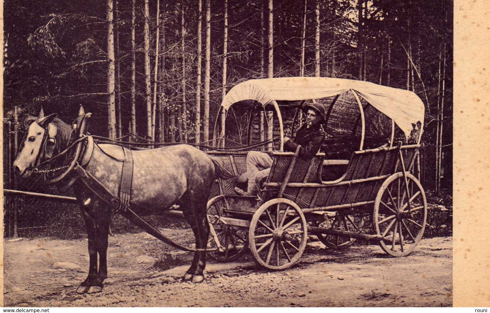 ZAKOPANE Furka Goralska - Chariot, Cheval - Pologne