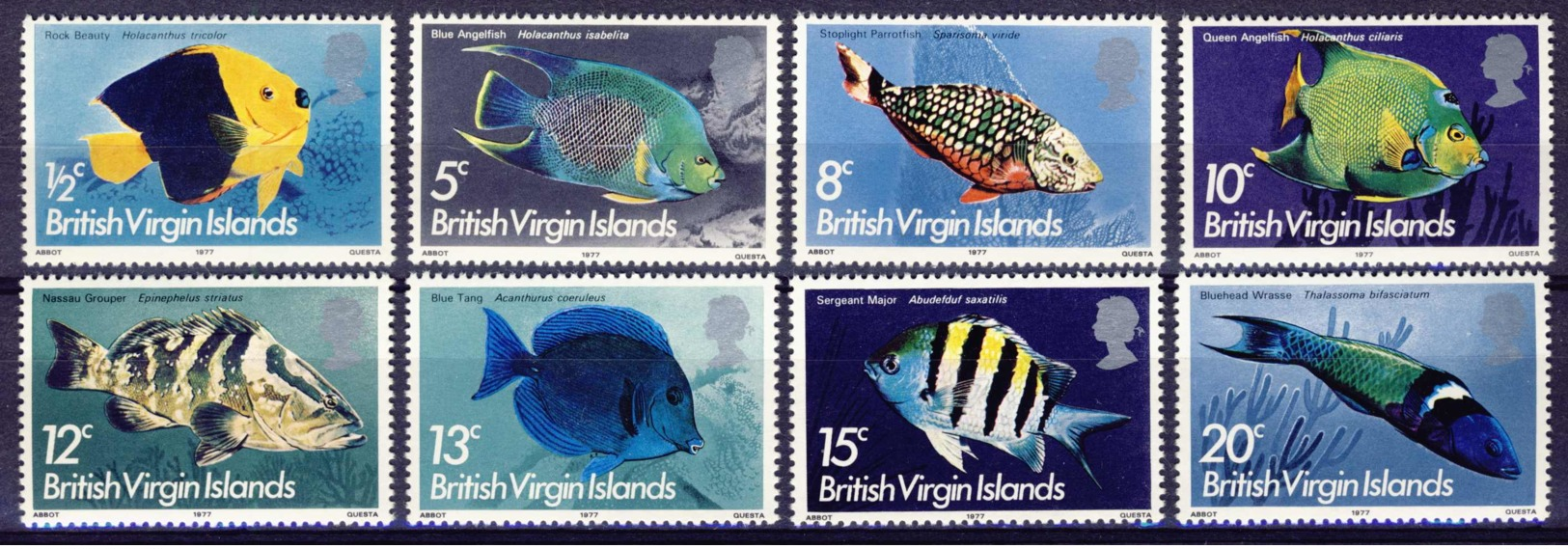 1977-(MNH=**) British Virgin Islands S.8v."Fishes" - British Virgin Islands