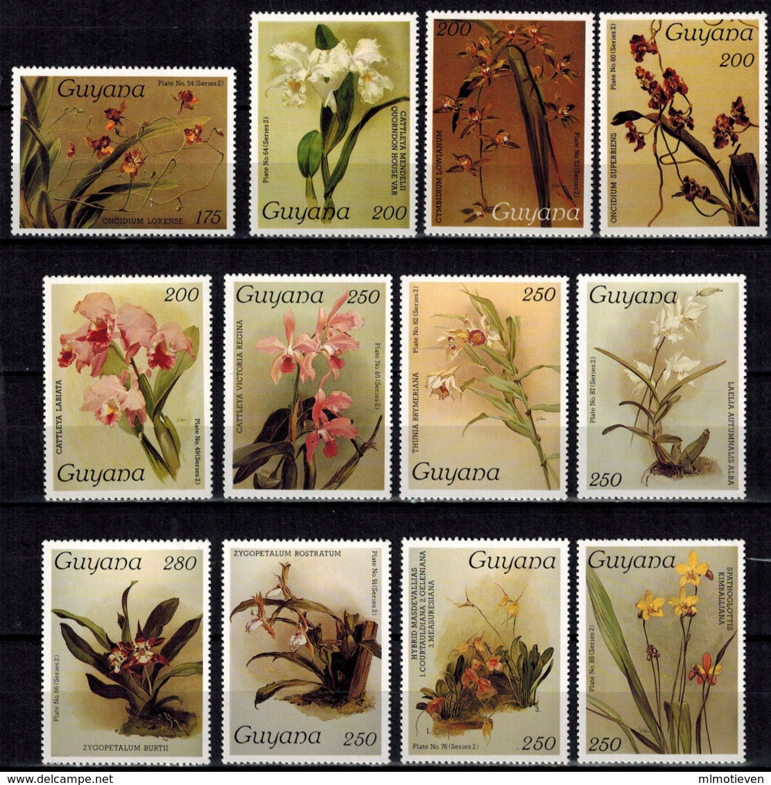 MBP-BK2-645 MINT ¤ GUYANA 12w MINT OUT OF SET- MINT - ¤ FLOWERS OF THE WORLD - ORCHIDEE - FLEURS BLÜMEN - Orchideen