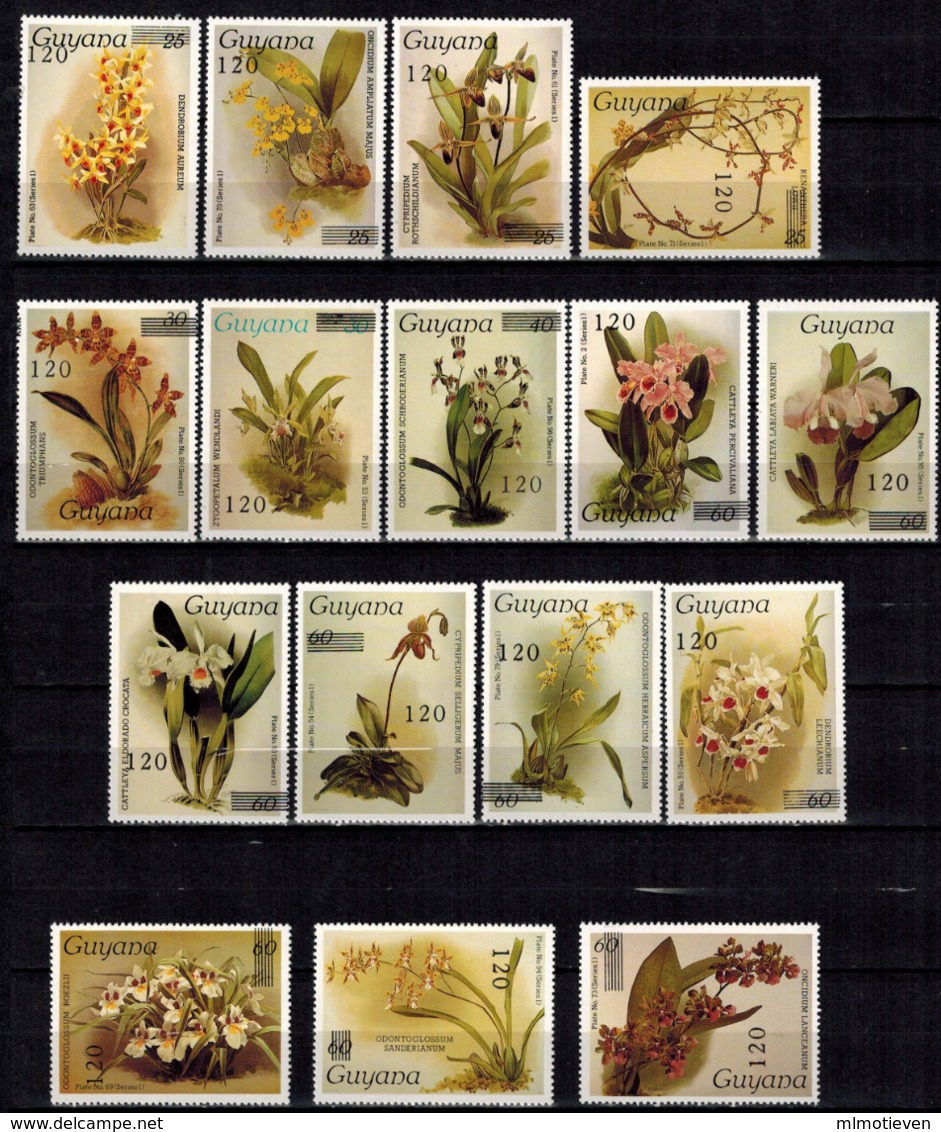 MBP-BK2-641 MINT ¤ GUYANA 16w MINT OUT OF SET- MINT - OVERPRINT ¤ FLOWERS OF THE WORLD - ORCHIDEE - FLEURS BLÜMEN - Orchideen