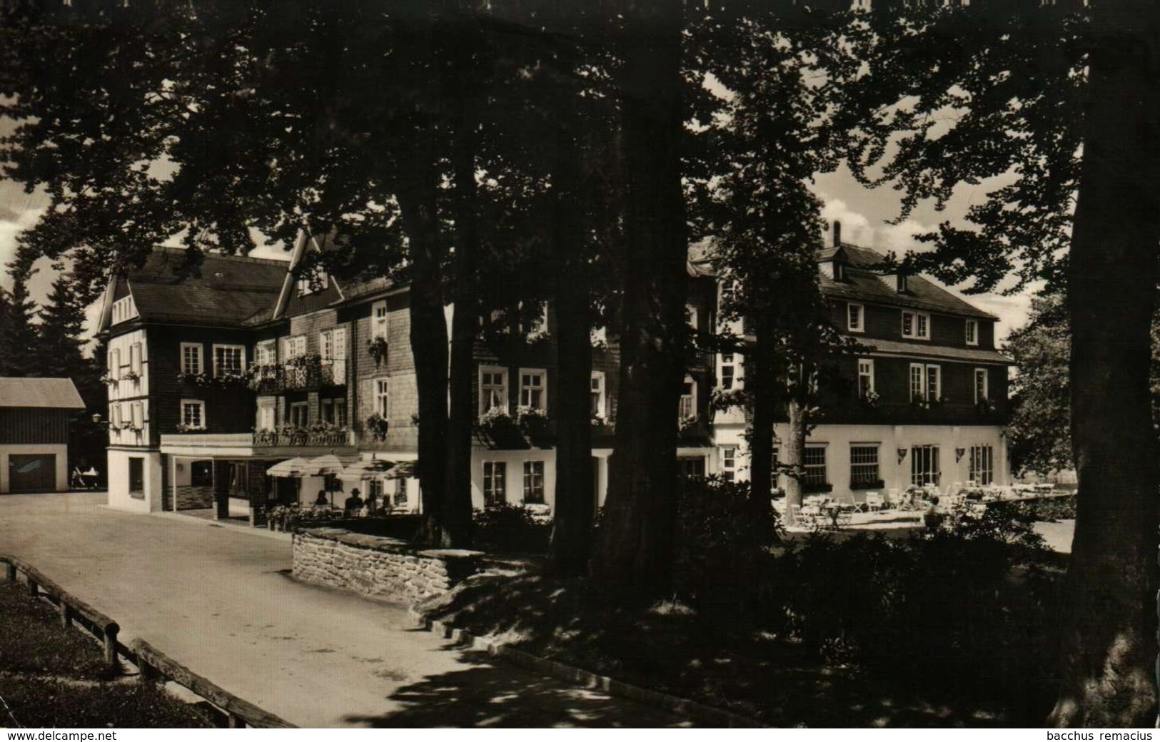 JAGDHAUS/SCHMALLENBERG/ROTHAARGEBIRGE/HOCHSAUERLAND  Gasthof Wiese - Schmallenberg