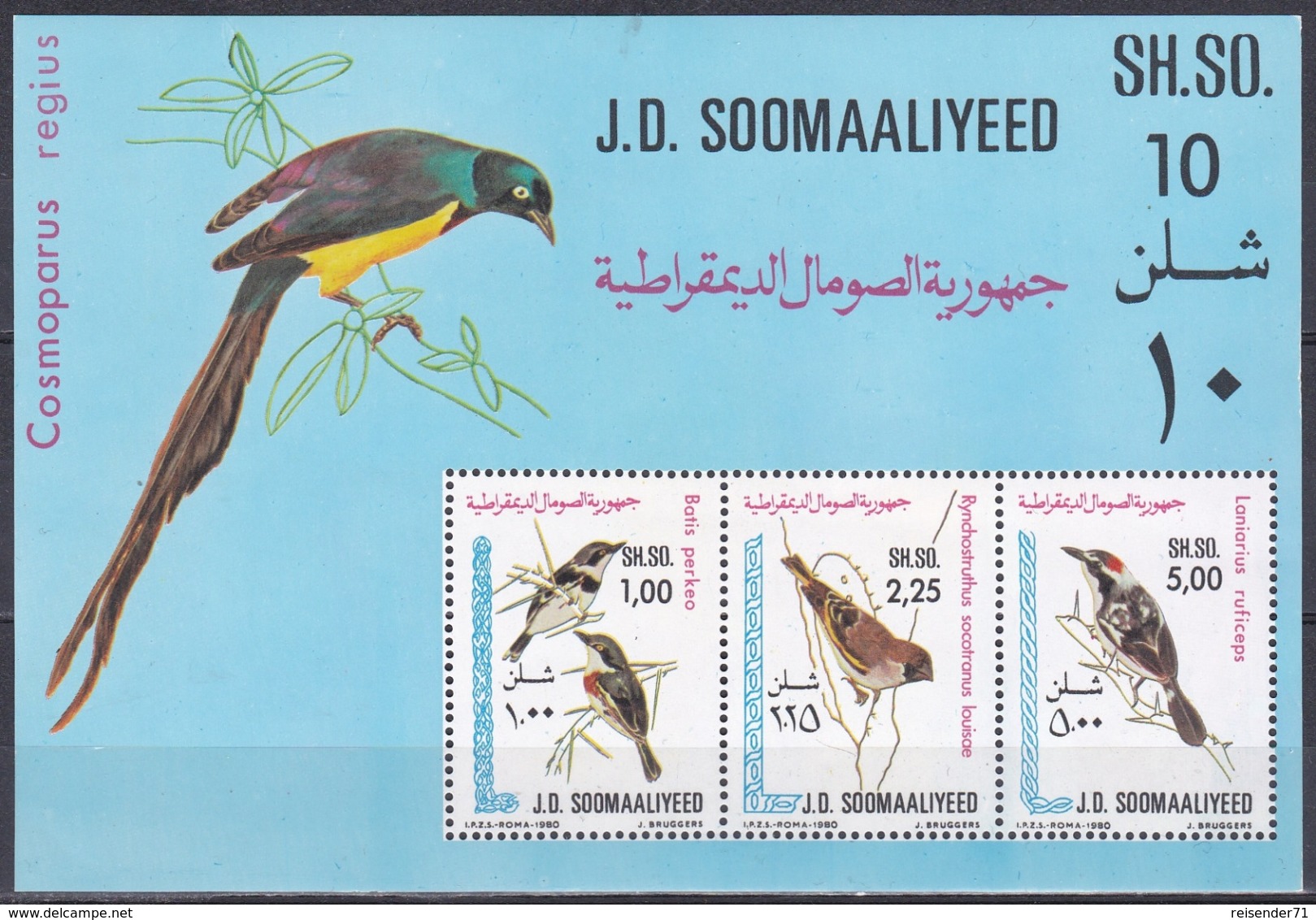 Somalia 1980 Tiere Fauna Animals Vögel Birds Oiseaux Aves Uccelli Schnäpper Girlitz Würger, Bl. 10 ** - Somalia (1960-...)