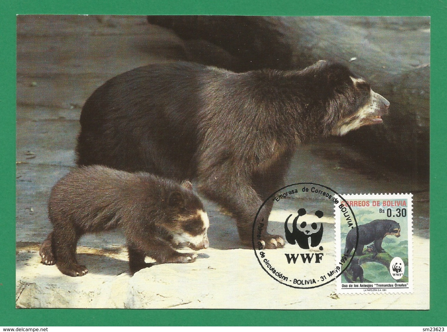 Bolivien / Bolivia 1991 , Spectacled Bear / Der Brillenbär - WWF Official Maximum Card  31 Mayo 1991 - Bolivia