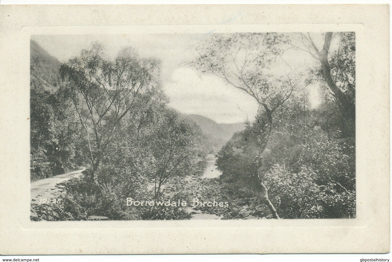 UK BORROWDALE Birches, Ca. 1910, Superb Mint Embossed Black-and-white Postcard - Borrowdale