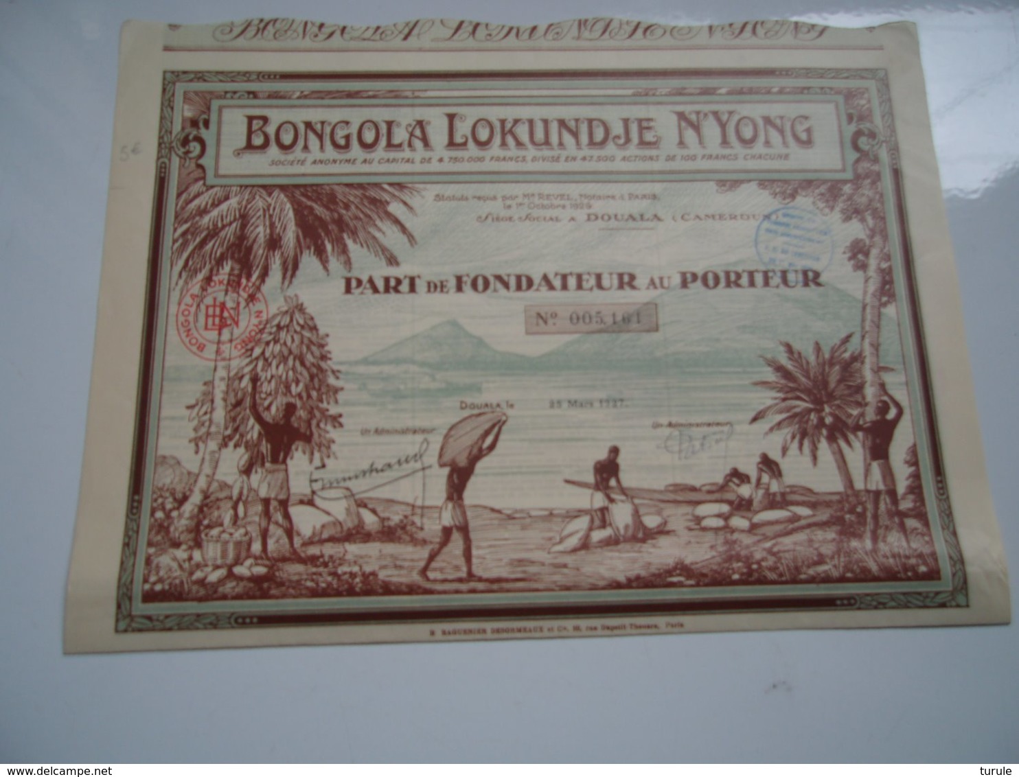 BONGOLA LOKUNDJE N'YONG (douala,cameroun) - Andere & Zonder Classificatie