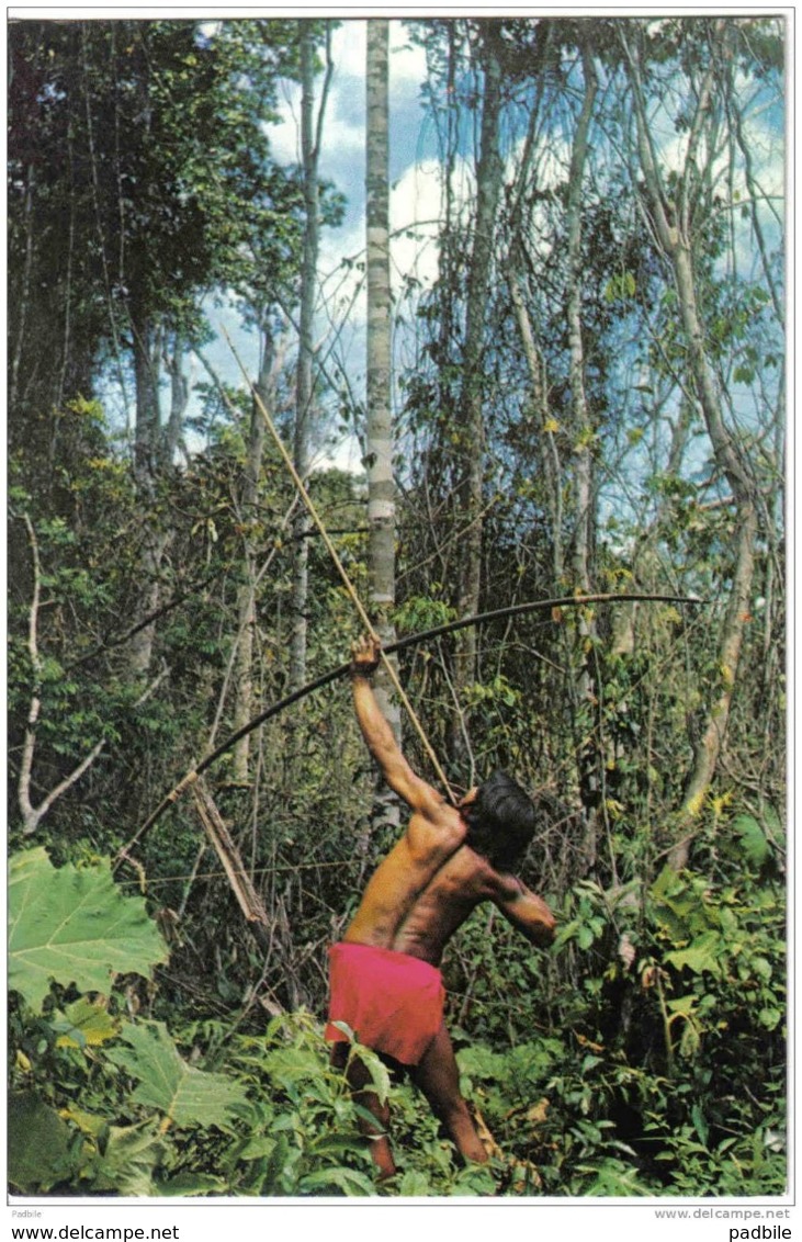 Carte Postale île De La Guyane  Indien Wayana Chassant à L'Arc Trés Beau Plan - Autres & Non Classés