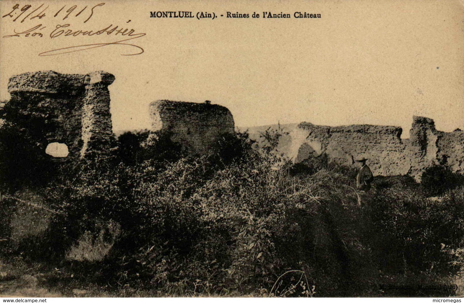 01 - MONTLUEL - Ruines De L'Ancien Château - Montluel