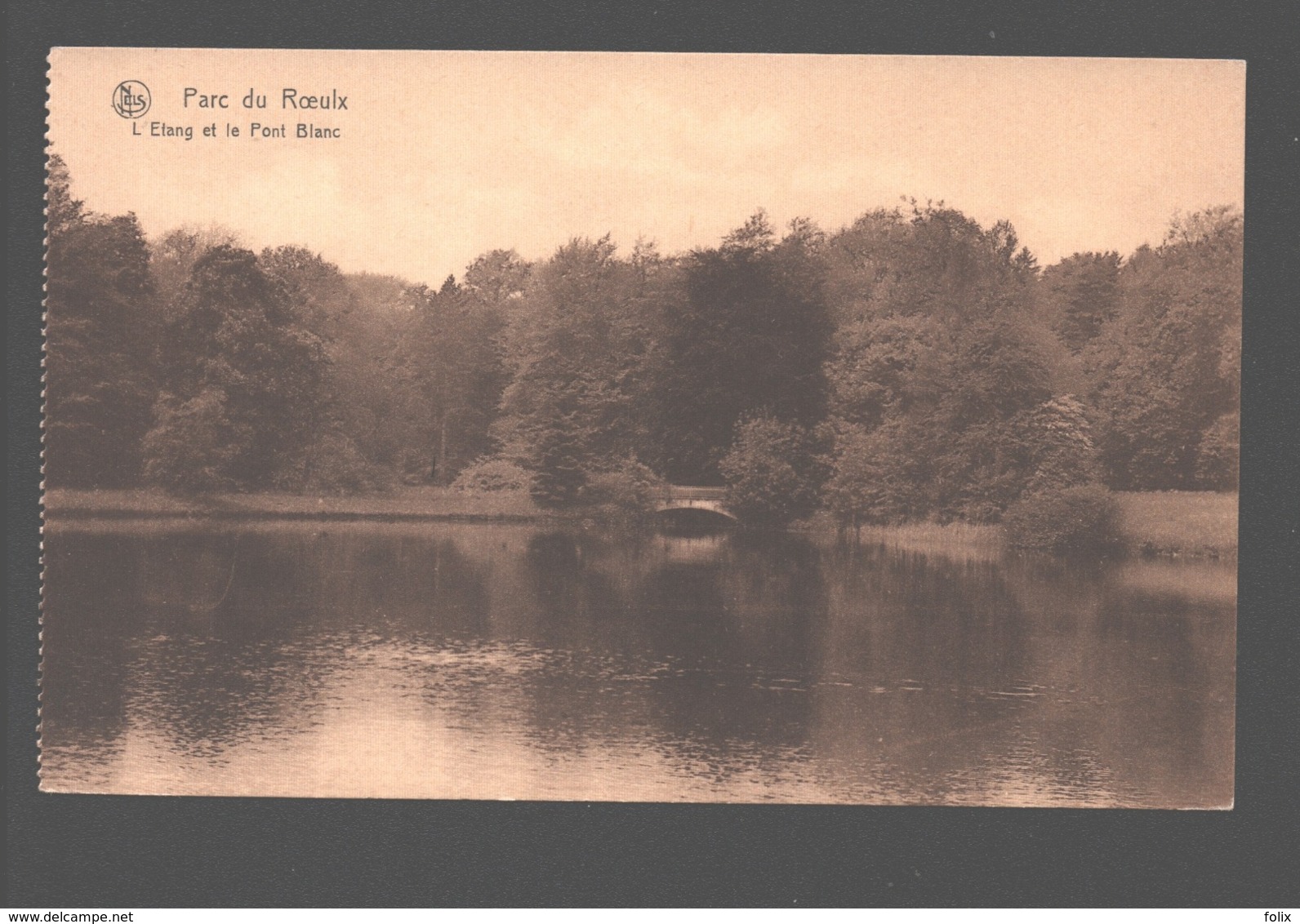 Le Roeulx - Parc Du Roeulx - L'Etang Et Le Pont Blanc - état Neuf - Le Roeulx