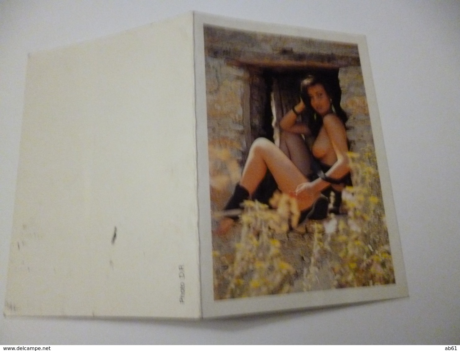 Femme Seins Nus Sur Petit Calendrier  De 1993  '  ) - Small : 1991-00