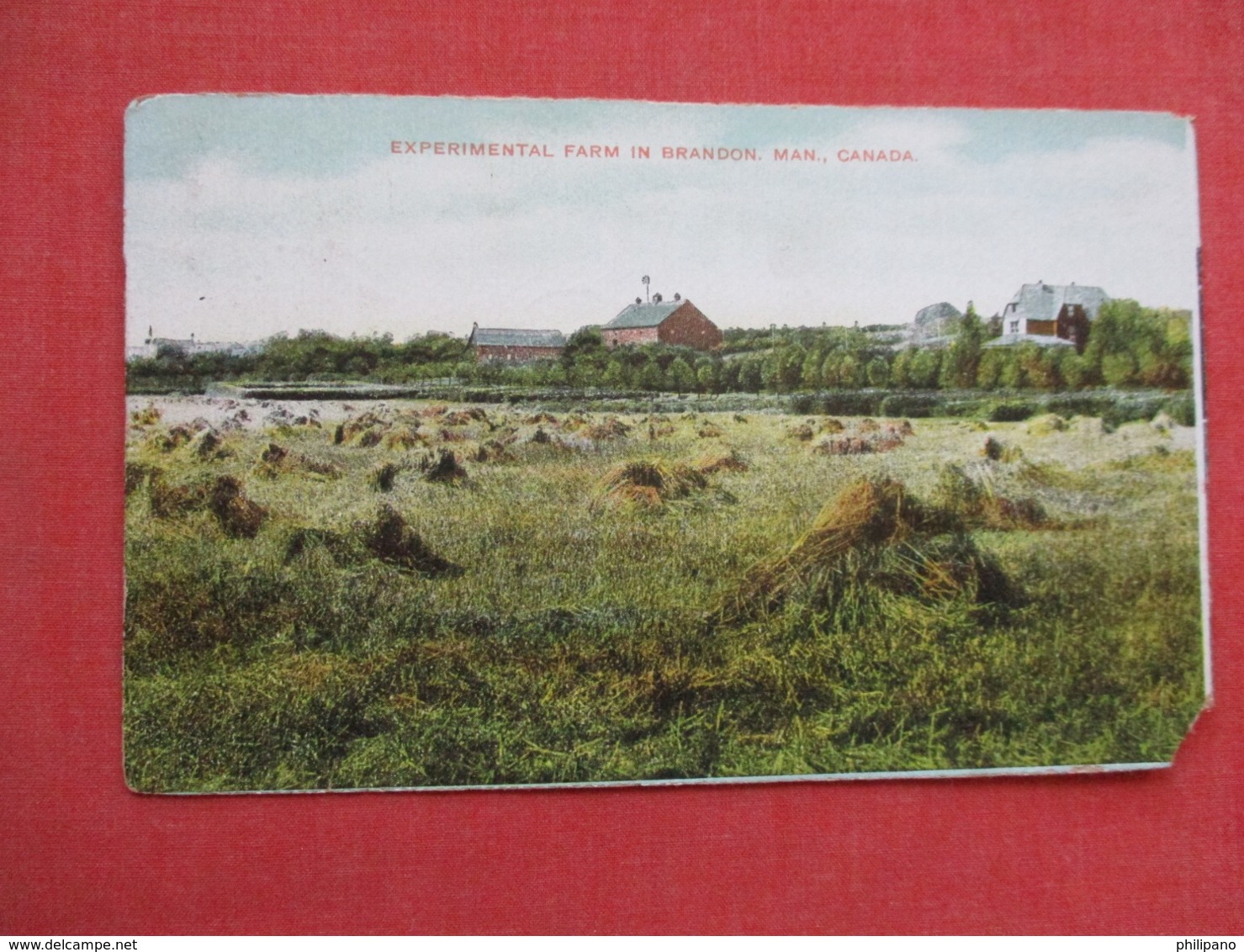 Experimental Farm  Canada    Manitoba > Brandon >    3647 - Brandon