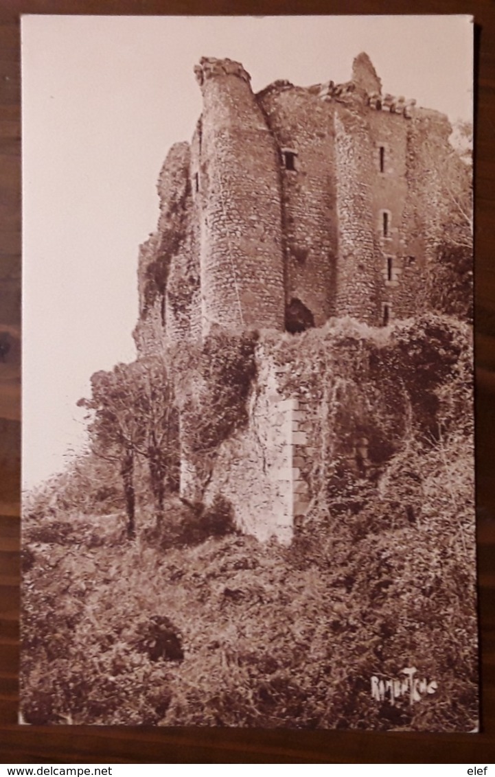 Chateaux Du Poitou, Chateau De POUZAUGES, Vendée Ed Bergevin, TB - Pouzauges