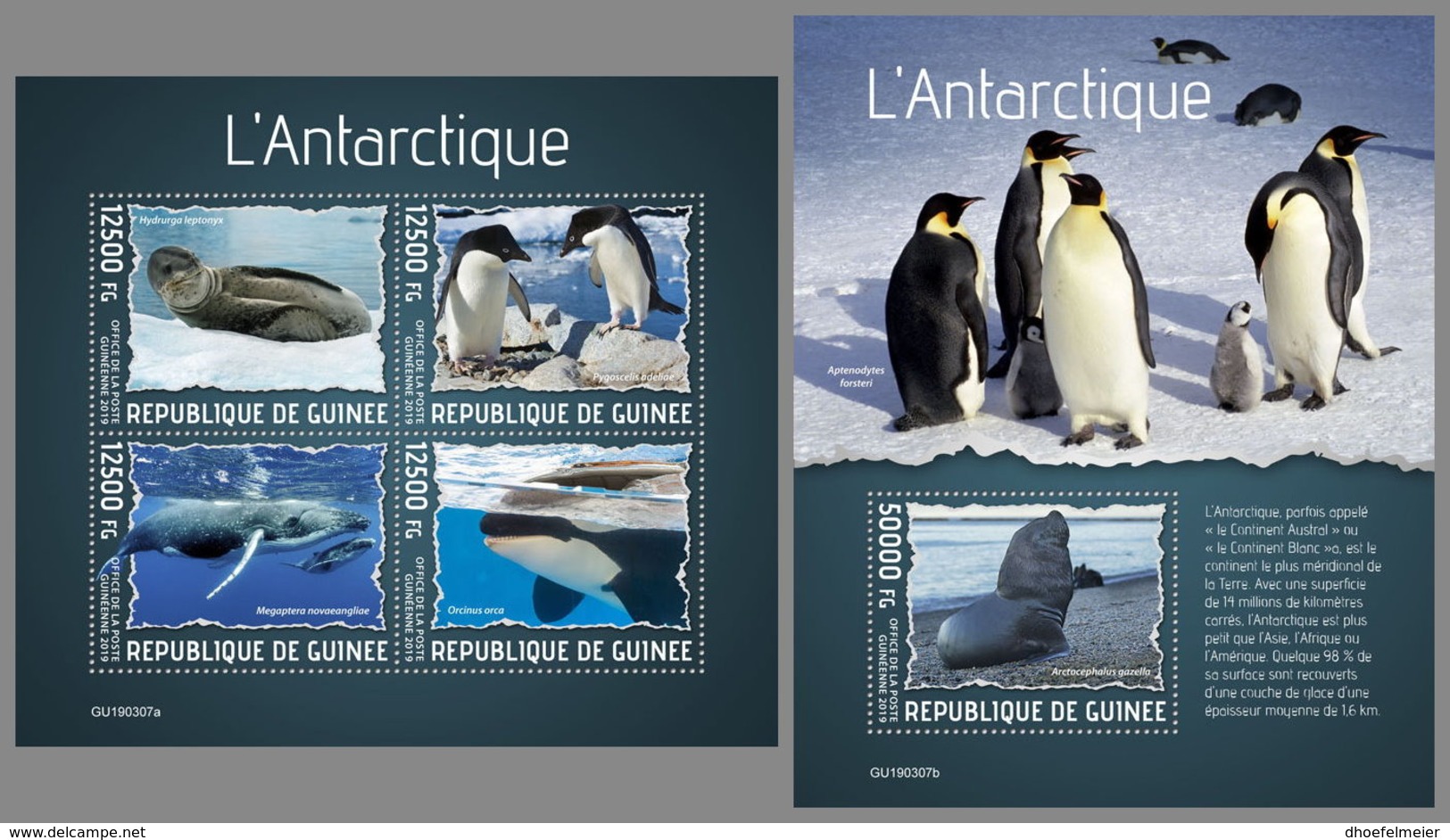 GUINEA REP. 2019 MNH Antarctic Animals Tiere Der Antarktis Animaux De L'Antarctique M/S+S/S - OFFICIAL ISSUE - DH1938 - Antarctic Wildlife