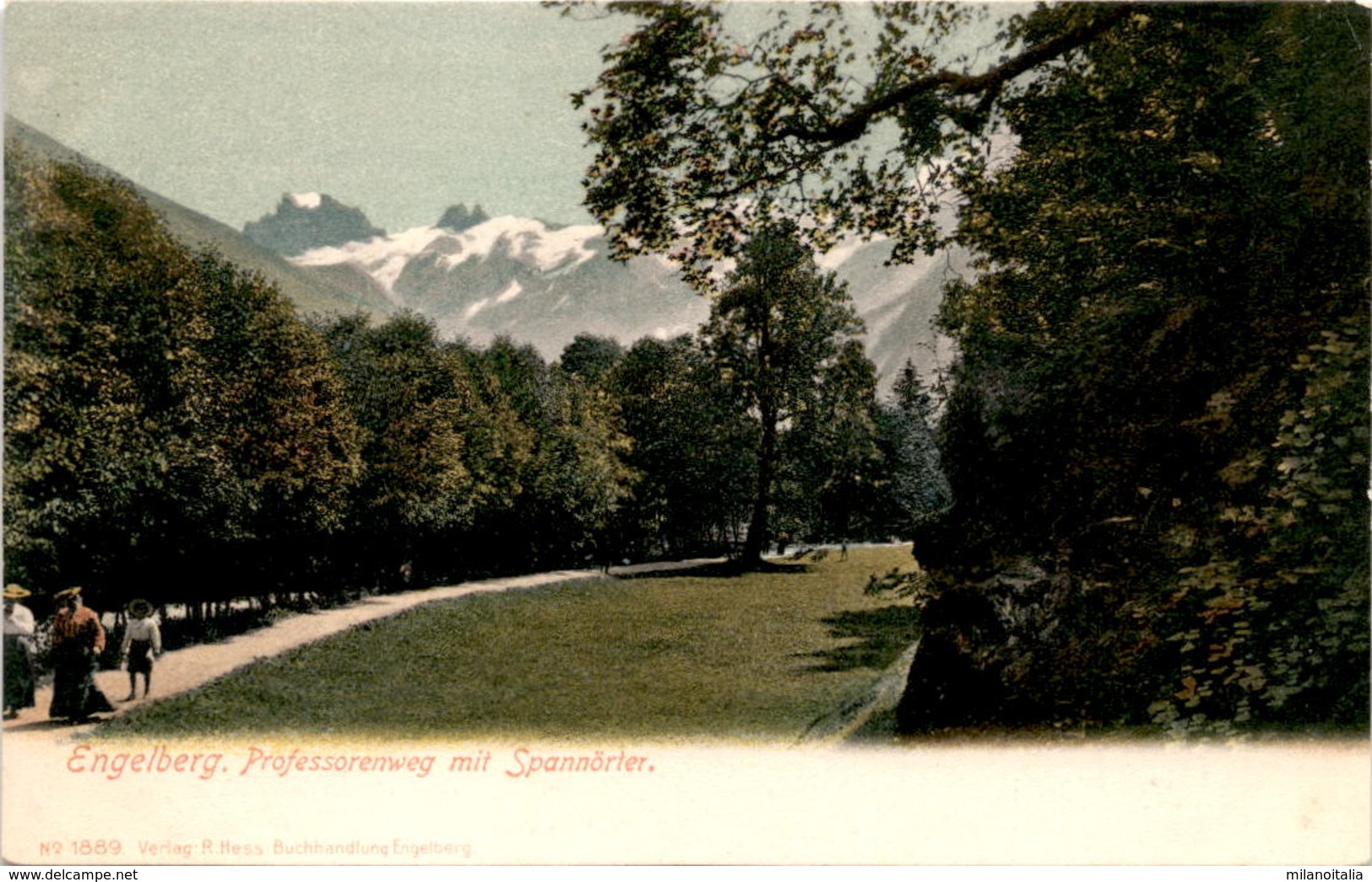 Engelberg - Professorenweg Mit Spannörter (1889) - Engelberg