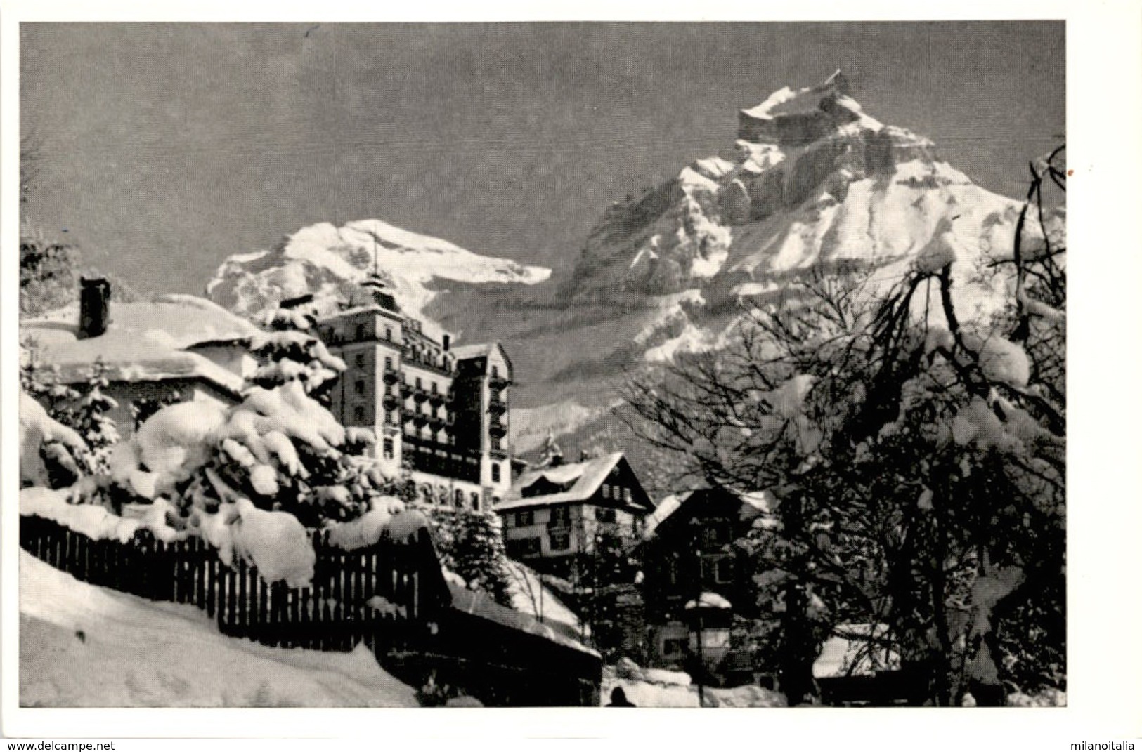 Hotel Edelweiss Engelberg - Engelberg