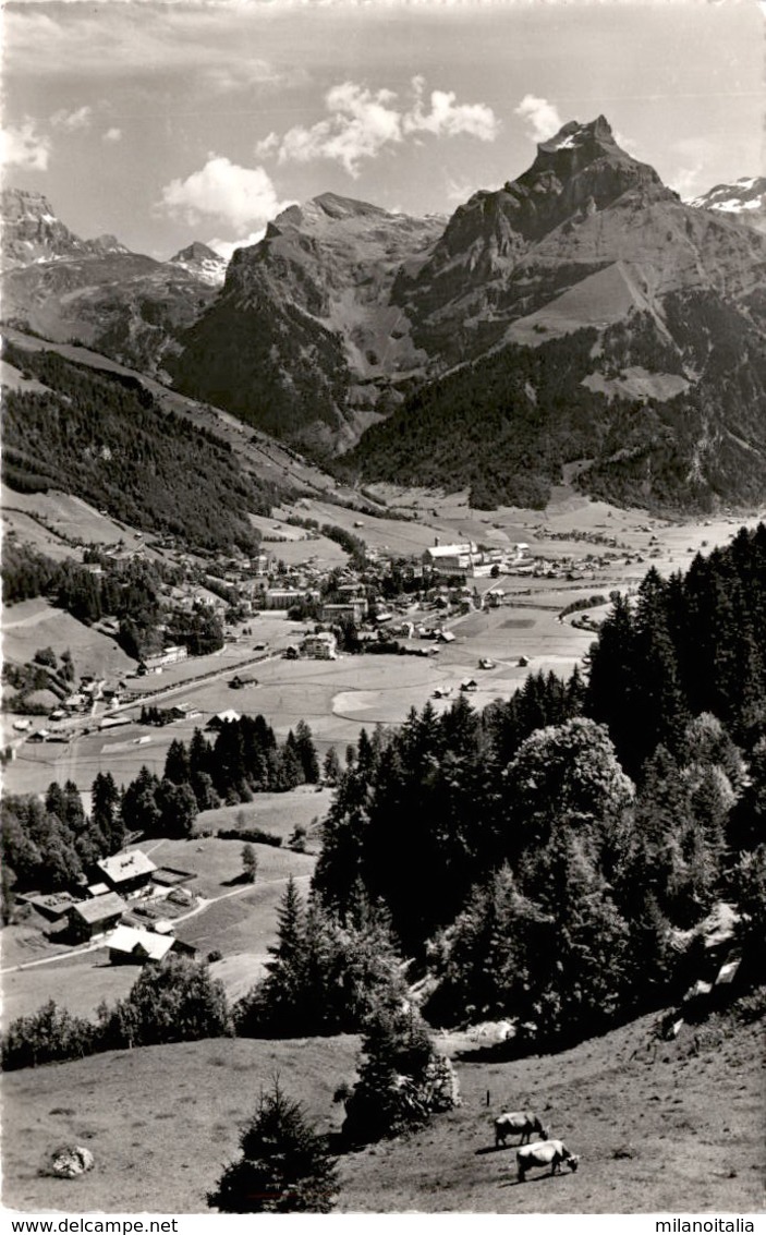 Engelberg Mit Hahnen (152) - Engelberg