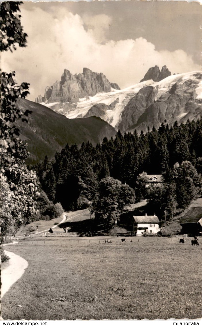 Am Professorenweg - Engelberg Mit Spannörter (24) - Engelberg