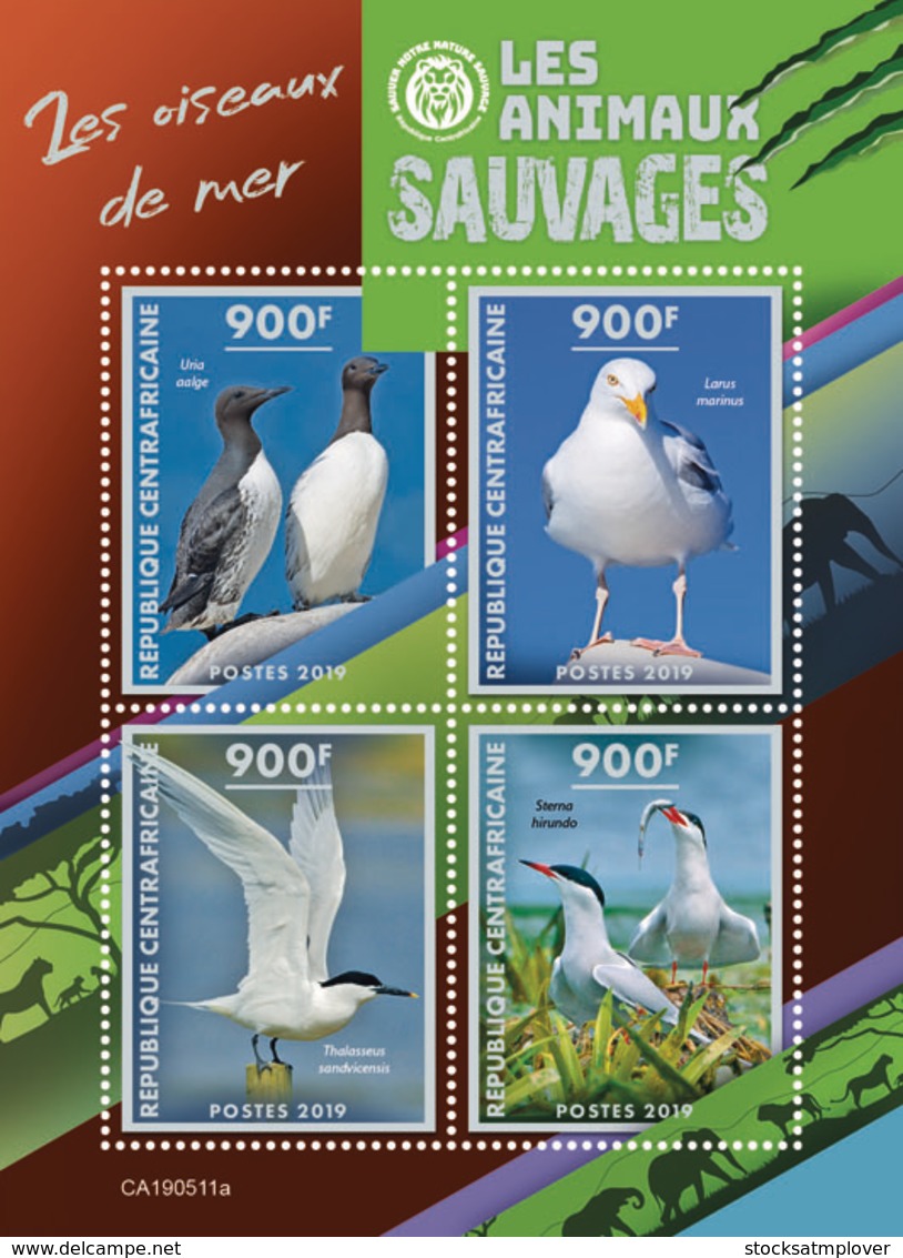 Central Africa 2019  Fauna Sea Birds S201908 - Central African Republic