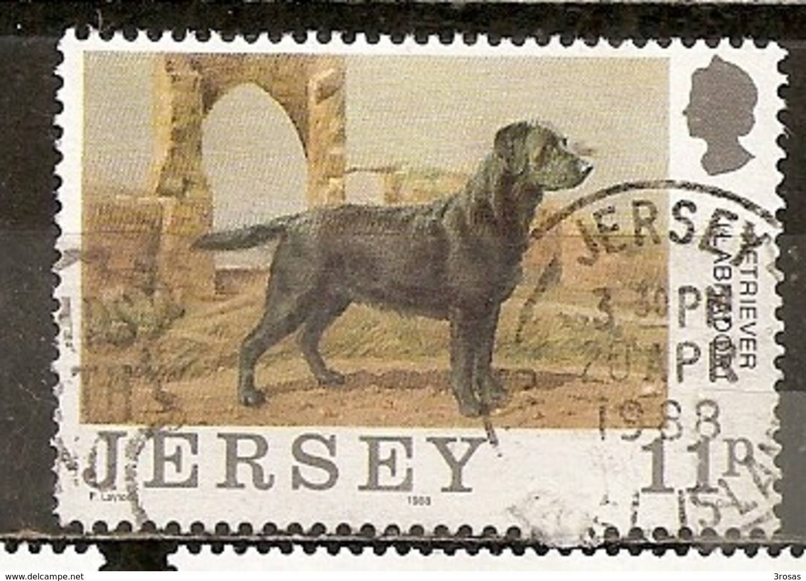 Jersey 1988 Chien Labrador Dog Obl - Jersey