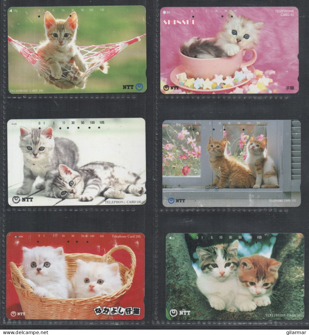 CATS - JAPAN - NTT -  6 TELEPHONE CARD 105 - USED - Gatti