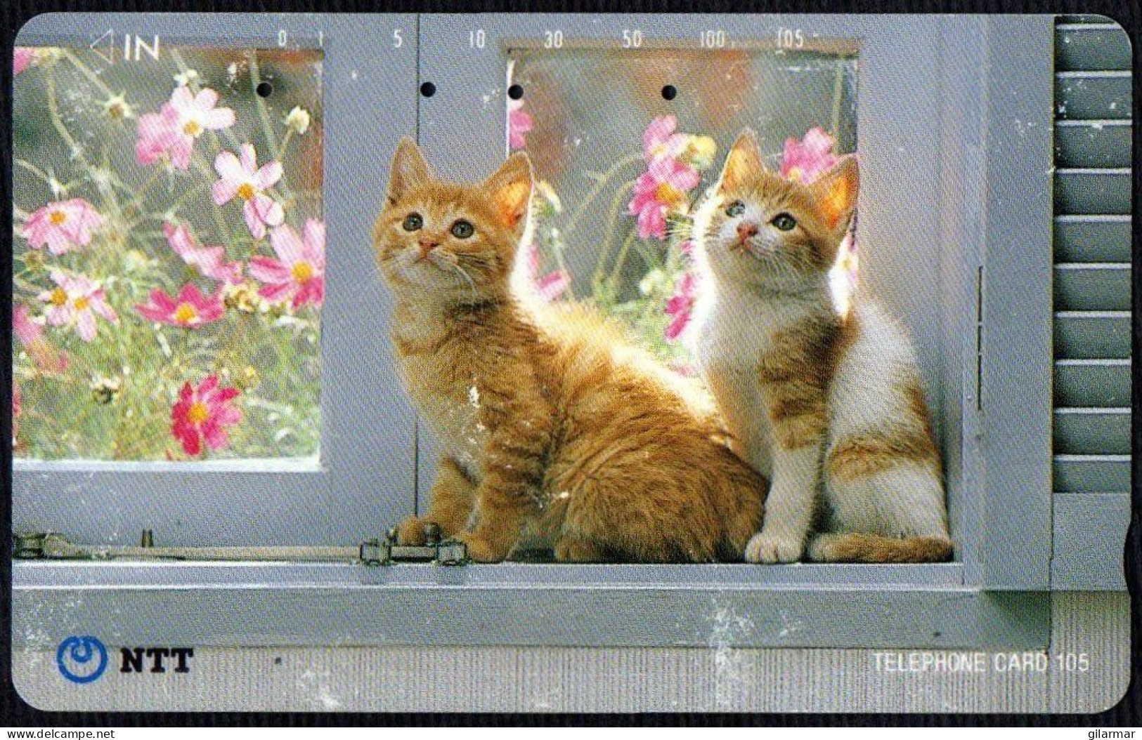 CATS - JAPAN - NTT -  6 TELEPHONE CARD 105 - USED - Gatti