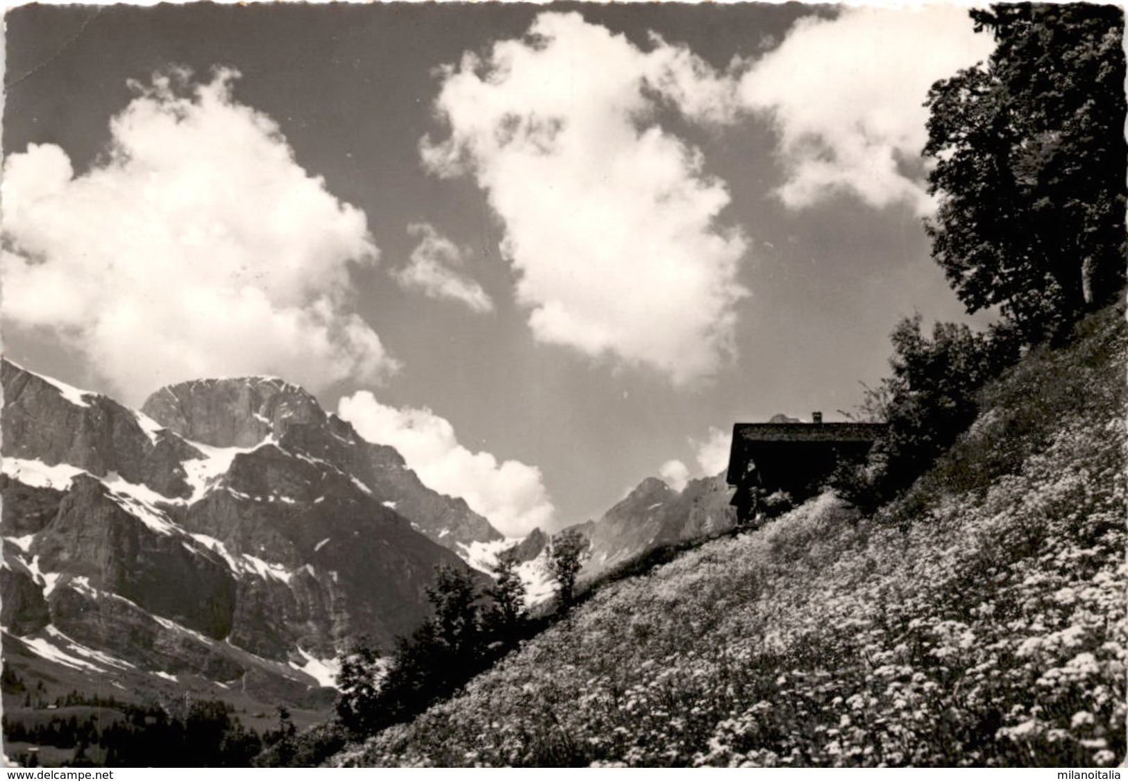 Landschaft Am Bergli-Engelberg (86) * 15. 6. 1951 - Engelberg