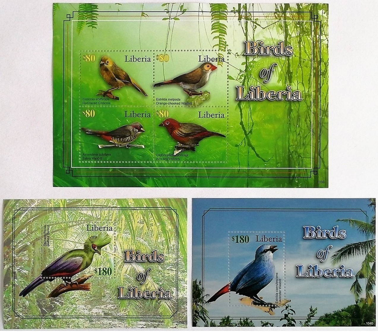 # Liberia 2011**Mi.5872-77 Birds Of Liberia , MNH [15;148] - Sonstige & Ohne Zuordnung