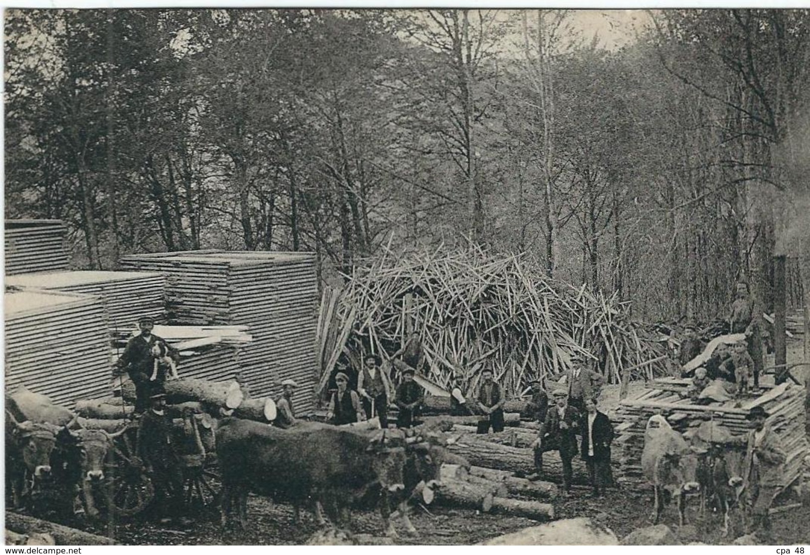 Lozère : Banassac, (Près La Canourgue), Exploitation Forestière "A. Rayssac", Commerce De Bois, RARE... - Other & Unclassified