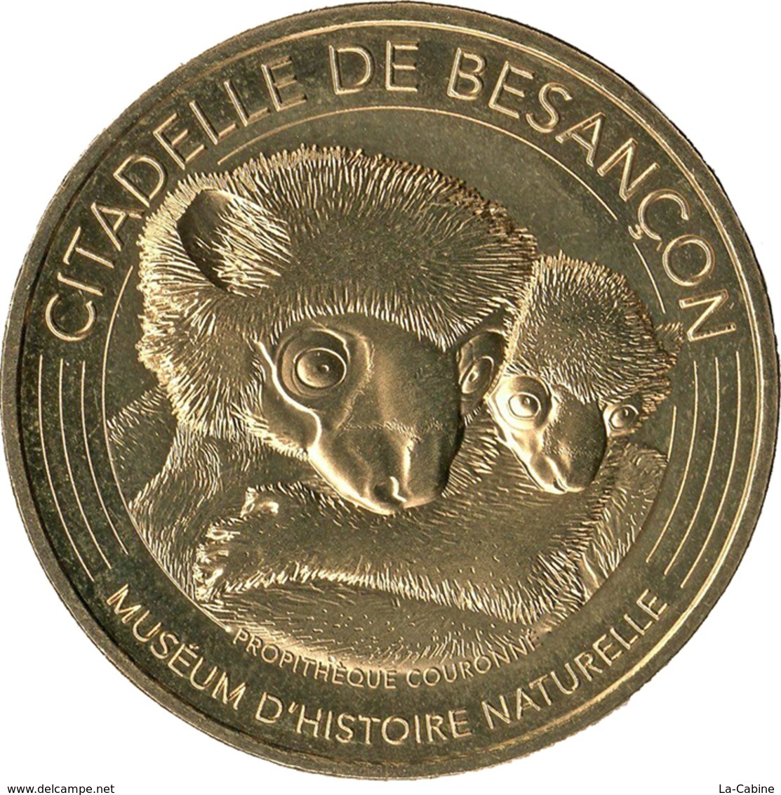 25 DOUBS BESANÇON MUSÉUM D'HISTOIRE NATURELLE  PROPITÈQUE COURONNÉ MÉDAILLE MONNAIE DE PARIS 2019 JETON MEDALS COINS - 2019