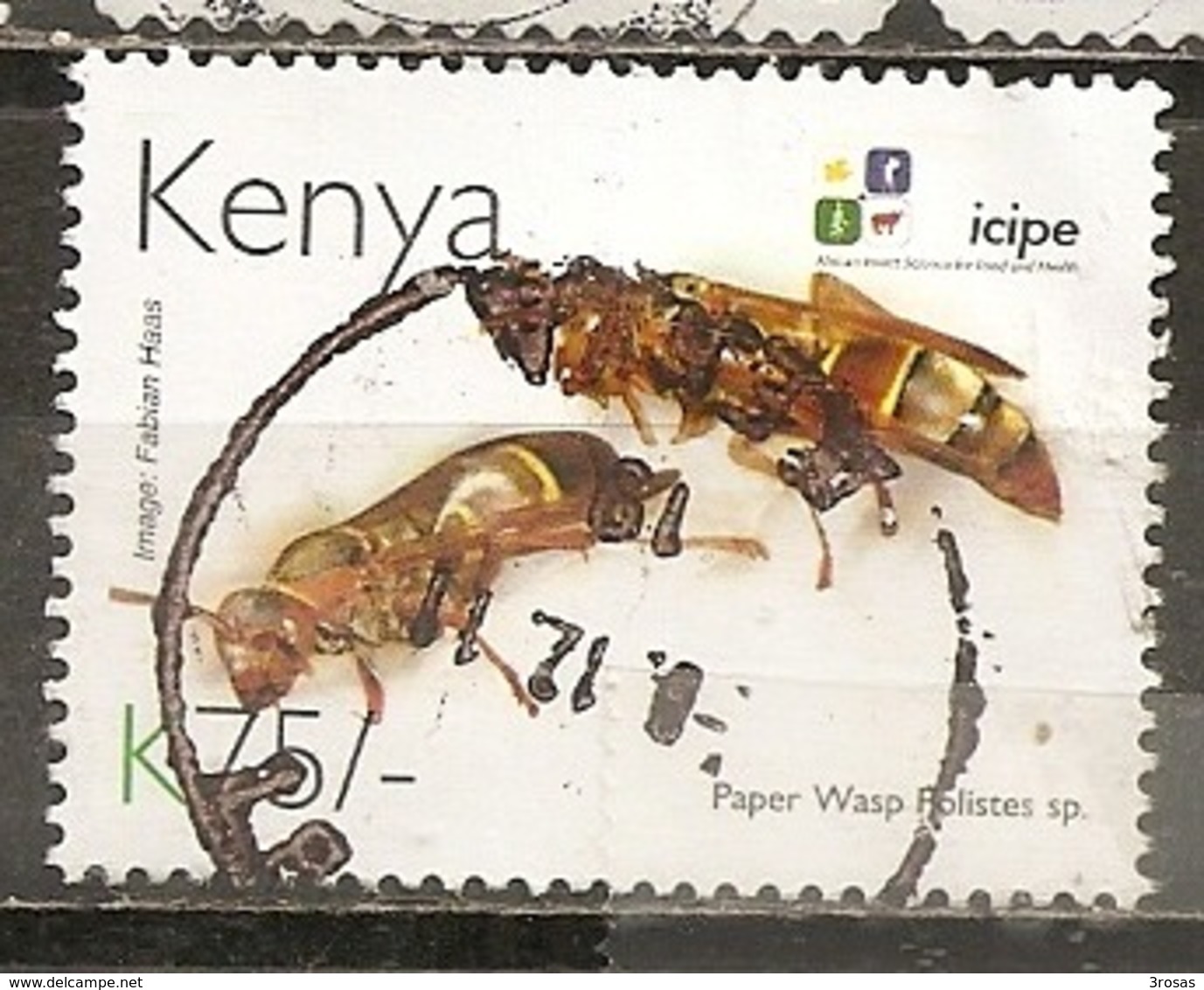 Kenya 2012 Insect Wasp Obl - Kenya (1963-...)