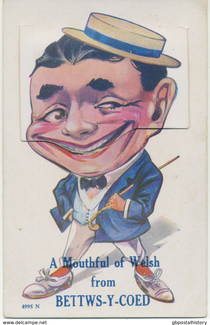 UK BETTWS-Y-COED 1910/20 A Mouthful Of Welsh From . , Unused Pocket Novelty Card - Caernarvonshire