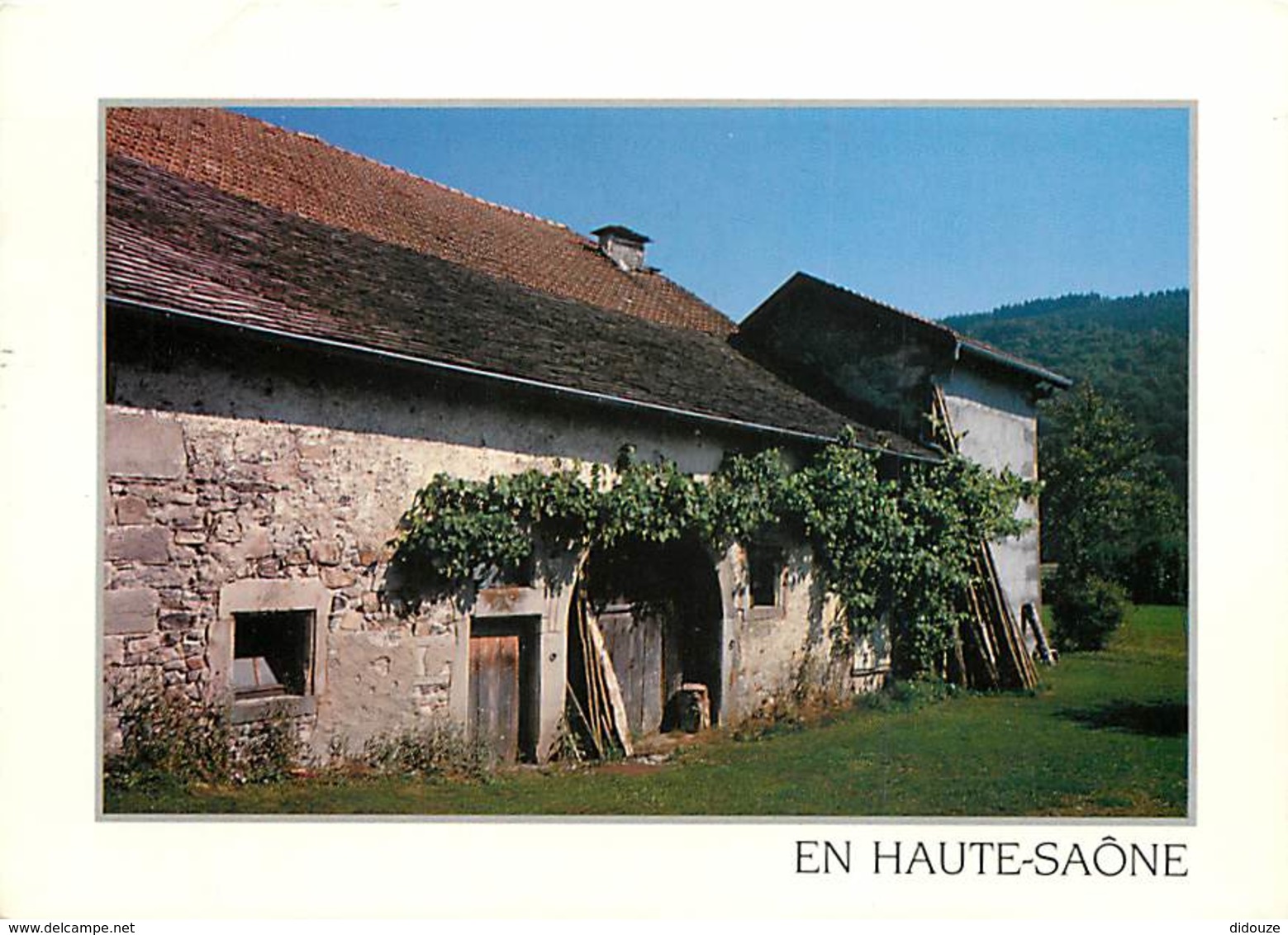 70 - Haute Saone - Une Fermette Des Vosges Saônoises - Flamme Postale De Vesoul - Voir Scans Recto-Verso - Other & Unclassified