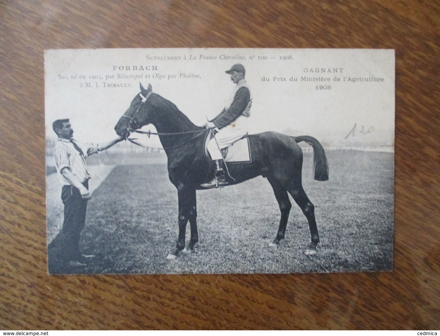 FORBACH BAI NE EN 1905 A M. J. THIEBAULT GAGNANT DU PRIX DU MINISTERE DE L'AGRICULTURE 1908 SUPPLEMENT A LA FRANCE CHEVA - Pferde